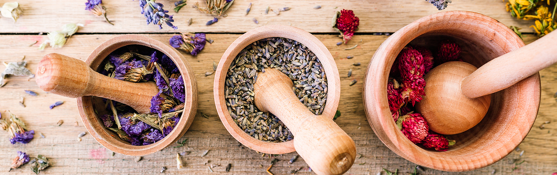 Shop Our New Collection